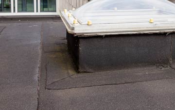 disadvantages of Isauld flat roofs