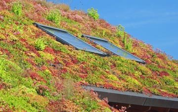 Isauld living roof systems